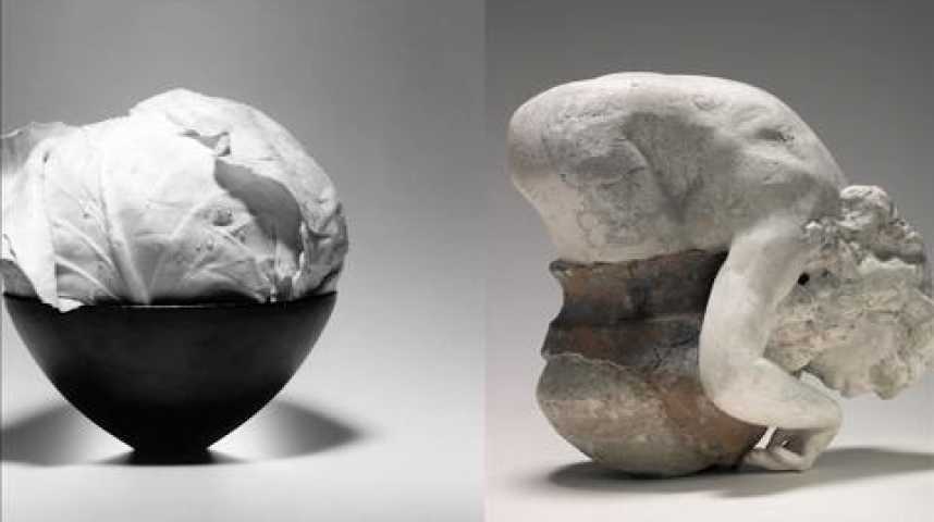 Illustration pour la vidéo Avant-Première : Rodin - Mapplethorpe au musée Rodin