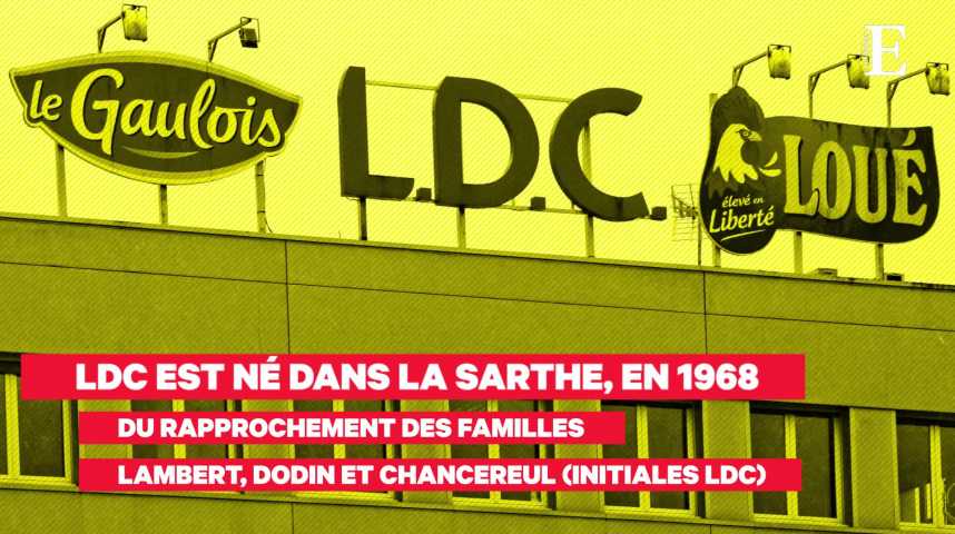 Illustration pour la vidéo Volailles fermières de Loué : la poule aux oeufs d'or de LDC