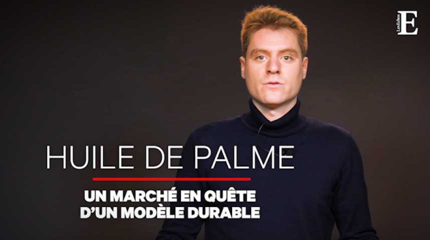 Illustration pour la vidéo Huile de palme : pourquoi c'est décrié, pourquoi ça marche