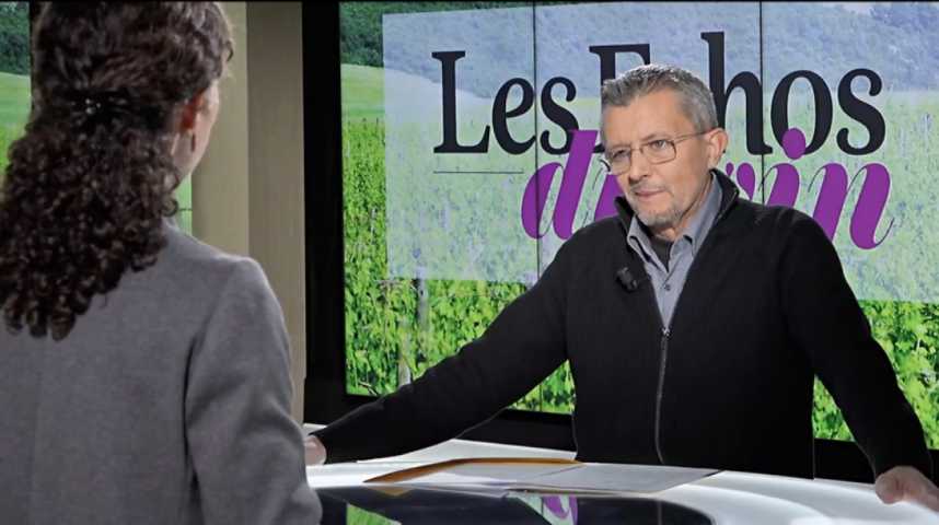 Illustration pour la vidéo Vin : face aux scandales viticoles, l'appellation redouble d’importance