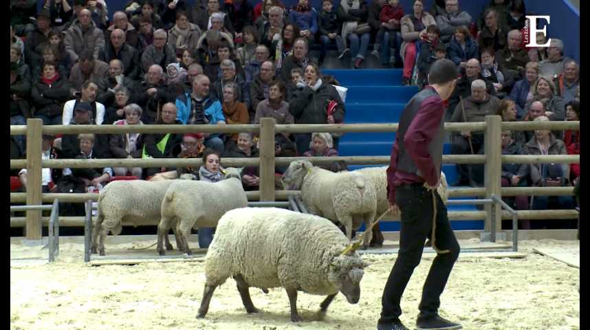 Illustration pour la vidéo Paroles d’agriculteurs : « On paye nos factures, mais nous, on ne gagne rien »