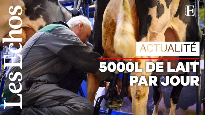 Illustration pour la vidéo Au Salon de l'Agriculture, la traite des vaches ne s'arrête pas