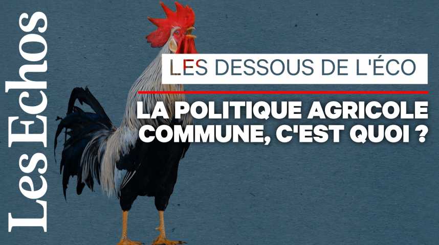 Illustration pour la vidéo Comment la PAC est devenue une usine à gaz