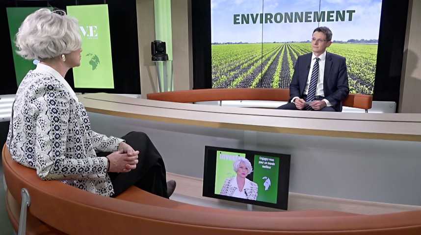 Illustration pour la vidéo Les entreprises qui s’engagent pour une neutralité carbone